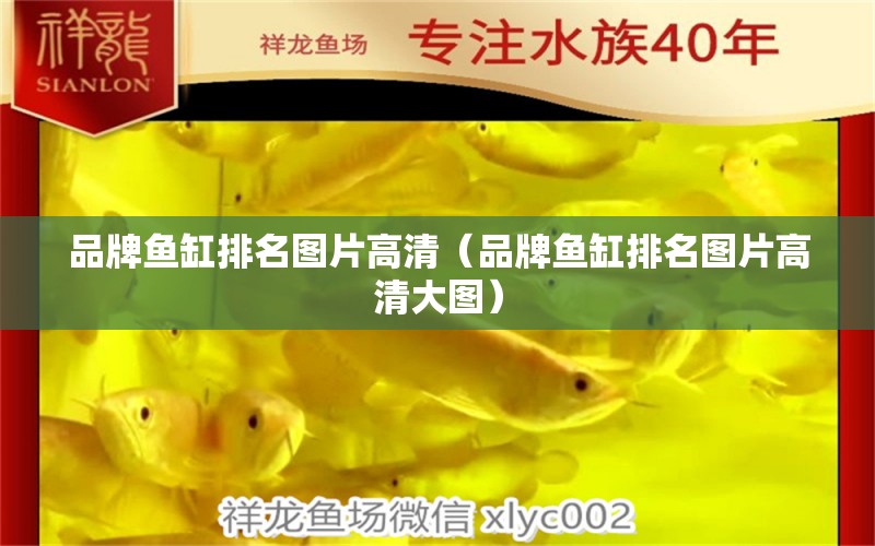 品牌魚缸排名圖片高清（品牌魚缸排名圖片高清大圖）