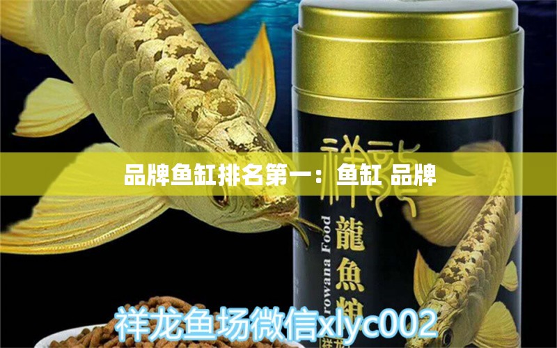 品牌魚缸排名第一：魚缸 品牌 廣州龍魚批發(fā)市場