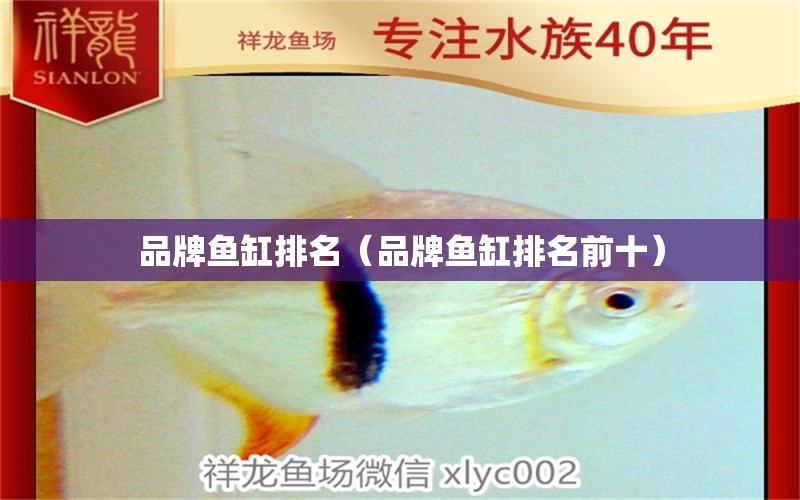 品牌魚缸排名（品牌魚缸排名前十）