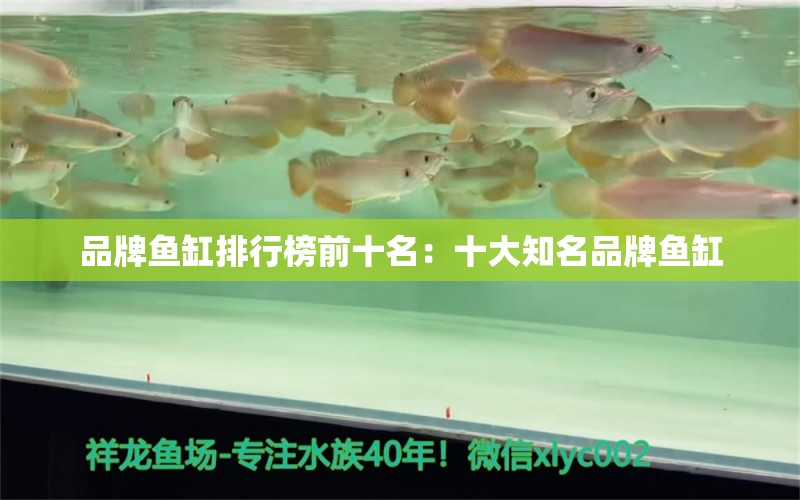 品牌魚(yú)缸排行榜前十名：十大知名品牌魚(yú)缸