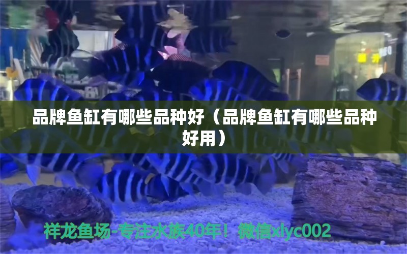 品牌魚缸有哪些品種好（品牌魚缸有哪些品種好用）