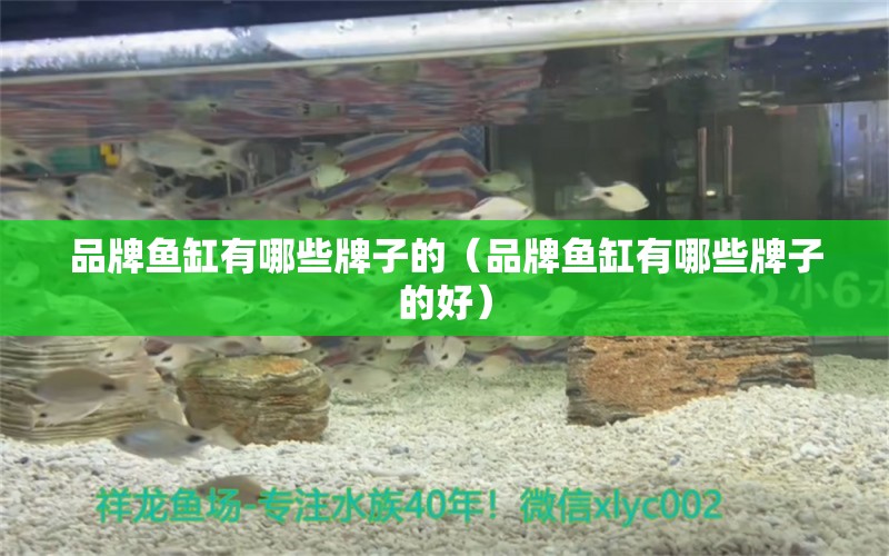 品牌魚缸有哪些牌子的（品牌魚缸有哪些牌子的好）