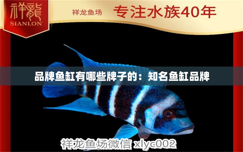 品牌魚(yú)缸有哪些牌子的：知名魚(yú)缸品牌