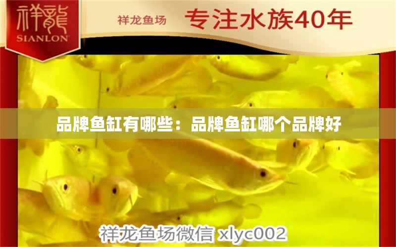 品牌魚(yú)缸有哪些：品牌魚(yú)缸哪個(gè)品牌好