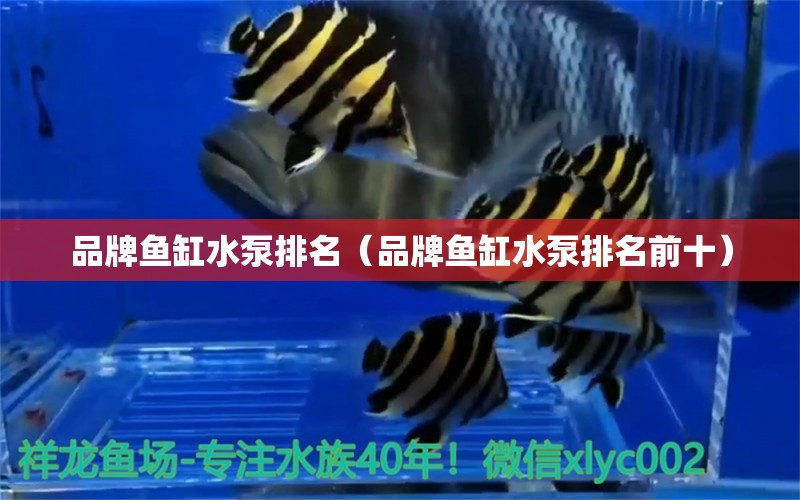 品牌魚(yú)缸水泵排名（品牌魚(yú)缸水泵排名前十）