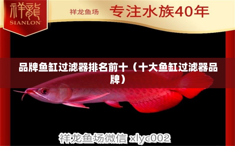 品牌魚缸過濾器排名前十（十大魚缸過濾器品牌）