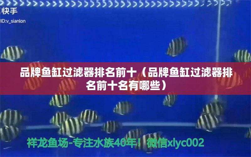 品牌魚缸過濾器排名前十（品牌魚缸過濾器排名前十名有哪些） PH調(diào)節(jié)劑