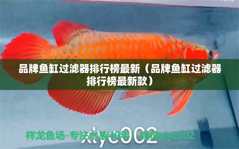 品牌魚缸過(guò)濾器排行榜最新（品牌魚缸過(guò)濾器排行榜最新款）