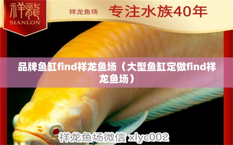 品牌魚缸find祥龍魚場（大型魚缸定做find祥龍魚場） 祥龍魚場