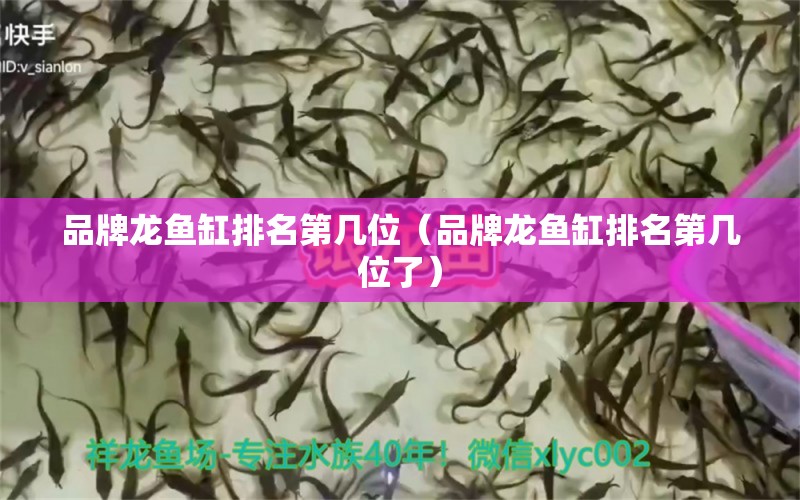 品牌龍魚缸排名第幾位（品牌龍魚缸排名第幾位了） 廣州龍魚批發(fā)市場