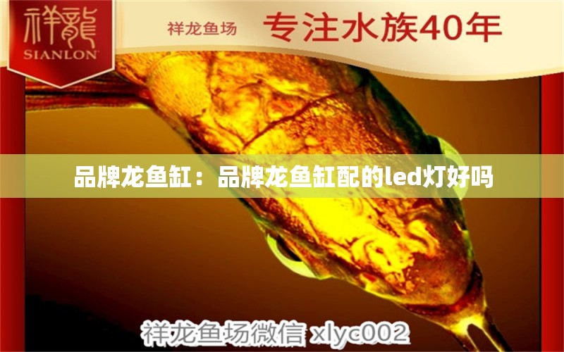 品牌龍魚缸：品牌龍魚缸配的led燈好嗎 廣州龍魚批發(fā)市場