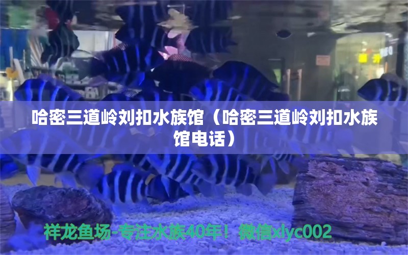 哈密三道嶺劉扣水族館（哈密三道嶺劉扣水族館電話(huà)） 全國(guó)水族館企業(yè)名錄