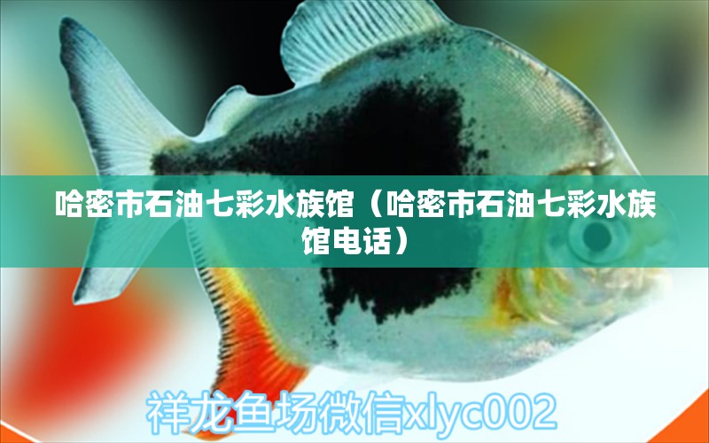 哈密市石油七彩水族館（哈密市石油七彩水族館電話(huà)）