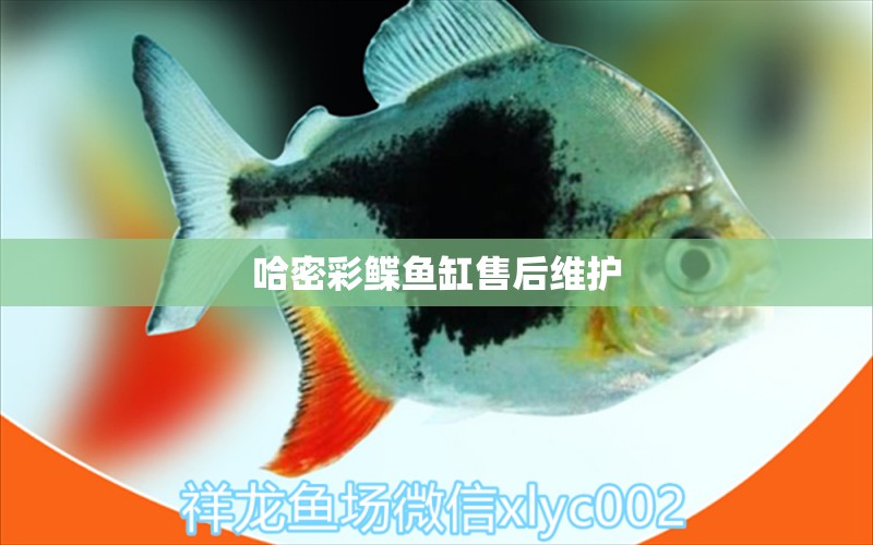 哈密彩鰈魚缸售后維護 彩鰈魚缸（彩蝶魚缸）