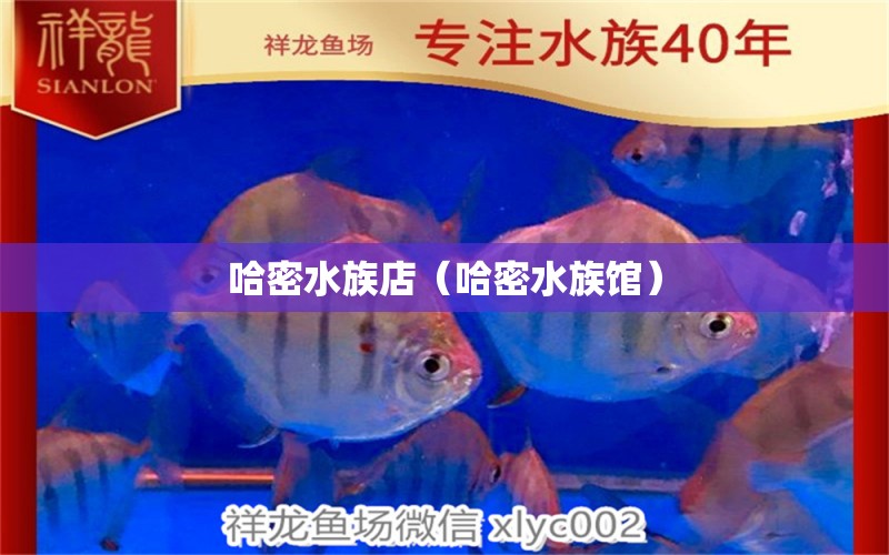 哈密水族店（哈密水族館） 觀賞魚市場