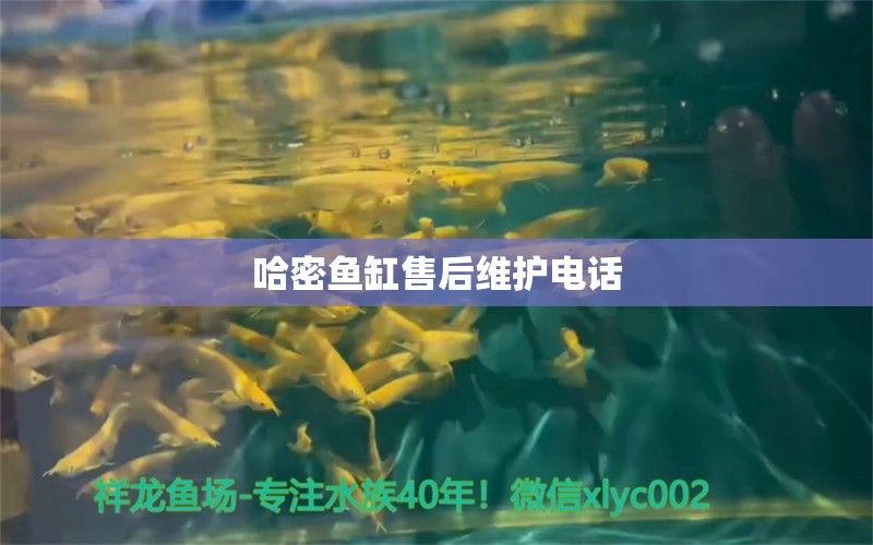 哈密魚缸售后維護(hù)電話