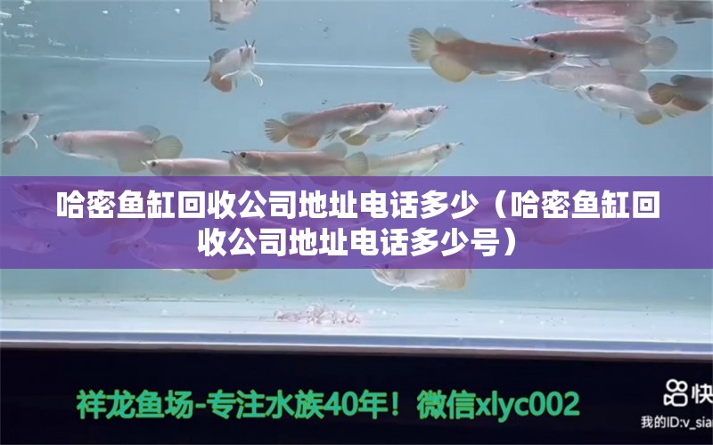 哈密魚缸回收公司地址電話多少（哈密魚缸回收公司地址電話多少號(hào)） 九鼎魚缸