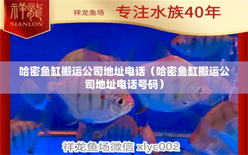 哈密魚缸搬運公司地址電話（哈密魚缸搬運公司地址電話號碼）