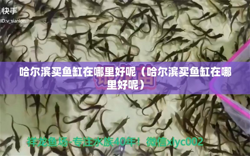 哈爾濱買魚缸在哪里好呢（哈爾濱買魚缸在哪里好呢）