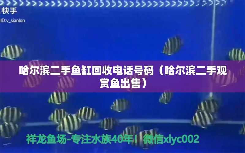 哈爾濱二手魚缸回收電話號碼（哈爾濱二手觀賞魚出售）