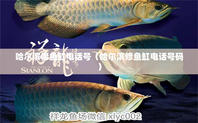 哈爾濱修魚缸電話號（哈爾濱修魚缸電話號碼）