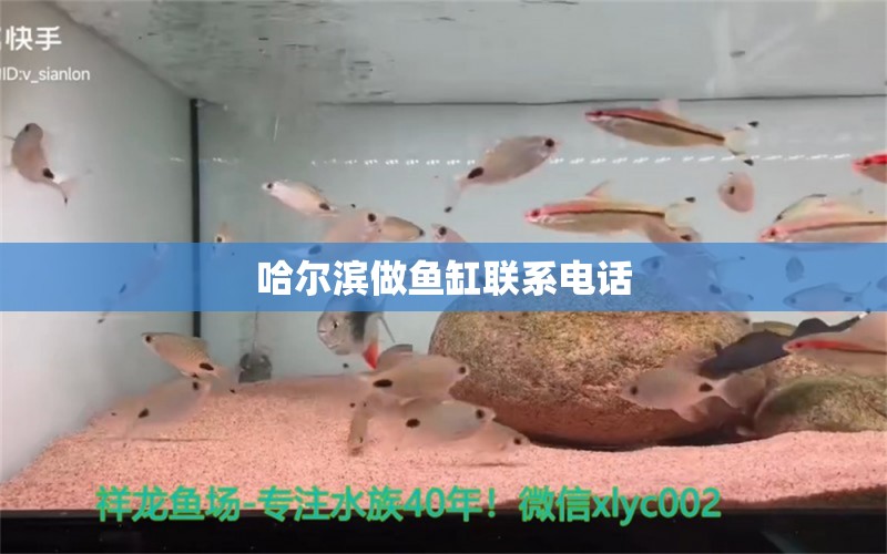 哈爾濱做魚(yú)缸聯(lián)系電話(huà)