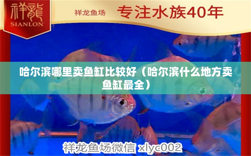 哈爾濱哪里賣魚缸比較好（哈爾濱什么地方賣魚缸最全）