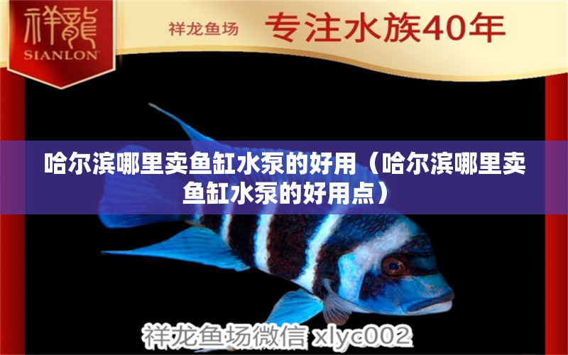 哈爾濱哪里賣(mài)魚(yú)缸水泵的好用（哈爾濱哪里賣(mài)魚(yú)缸水泵的好用點(diǎn)） 魚(yú)缸水泵