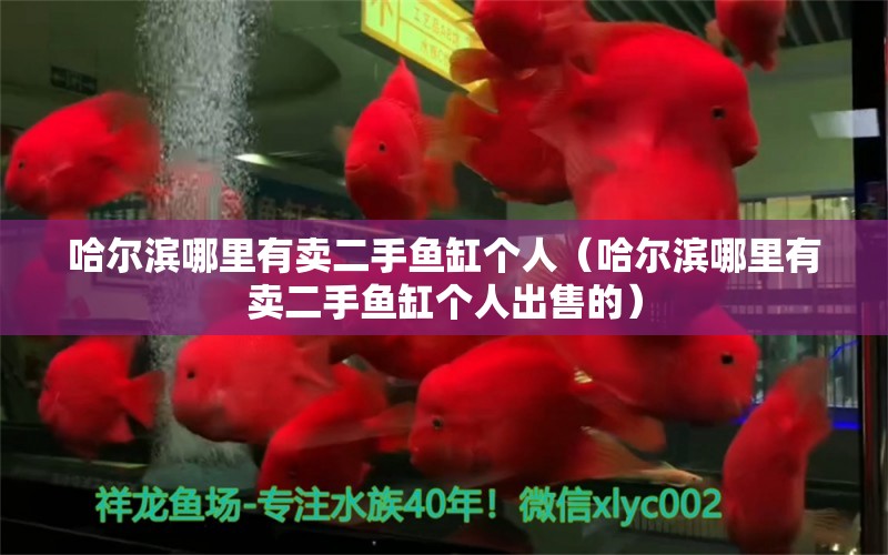 哈爾濱哪里有賣二手魚缸個人（哈爾濱哪里有賣二手魚缸個人出售的）