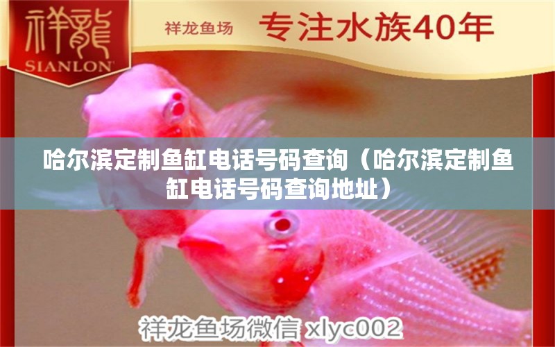 哈爾濱定制魚(yú)缸電話(huà)號(hào)碼查詢(xún)（哈爾濱定制魚(yú)缸電話(huà)號(hào)碼查詢(xún)地址） 觀賞魚(yú)市場(chǎng)（混養(yǎng)魚(yú)）