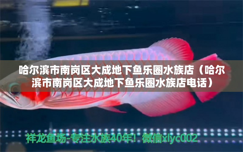 哈爾濱市南崗區(qū)大成地下魚樂(lè)圈水族店（哈爾濱市南崗區(qū)大成地下魚樂(lè)圈水族店電話）