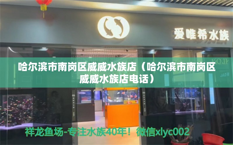 哈爾濱市南崗區(qū)威威水族店（哈爾濱市南崗區(qū)威威水族店電話） 全國(guó)水族館企業(yè)名錄