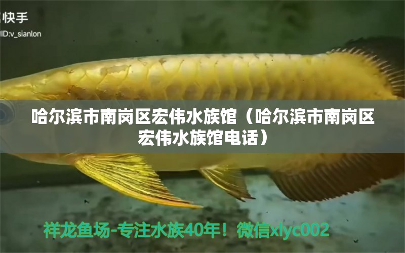 哈爾濱市南崗區(qū)宏偉水族館（哈爾濱市南崗區(qū)宏偉水族館電話(huà)） 全國(guó)水族館企業(yè)名錄