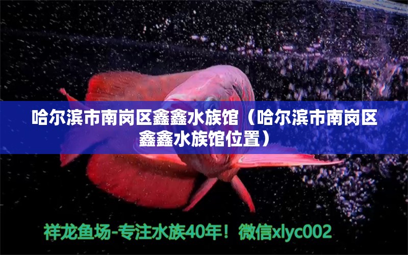 哈爾濱市南崗區(qū)鑫鑫水族館（哈爾濱市南崗區(qū)鑫鑫水族館位置）