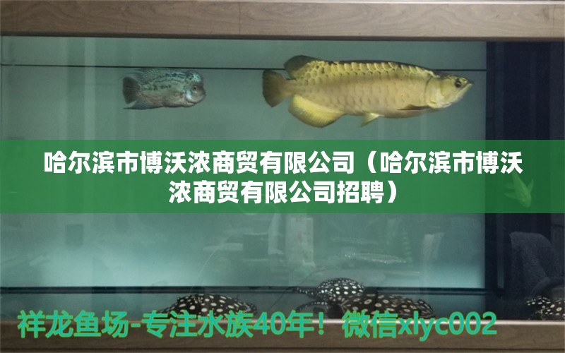 哈爾濱市博沃濃商貿(mào)有限公司（哈爾濱市博沃濃商貿(mào)有限公司招聘）