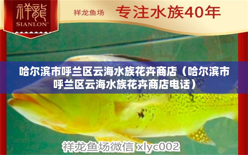 哈爾濱市呼蘭區(qū)云海水族花卉商店（哈爾濱市呼蘭區(qū)云海水族花卉商店電話） 全國水族館企業(yè)名錄