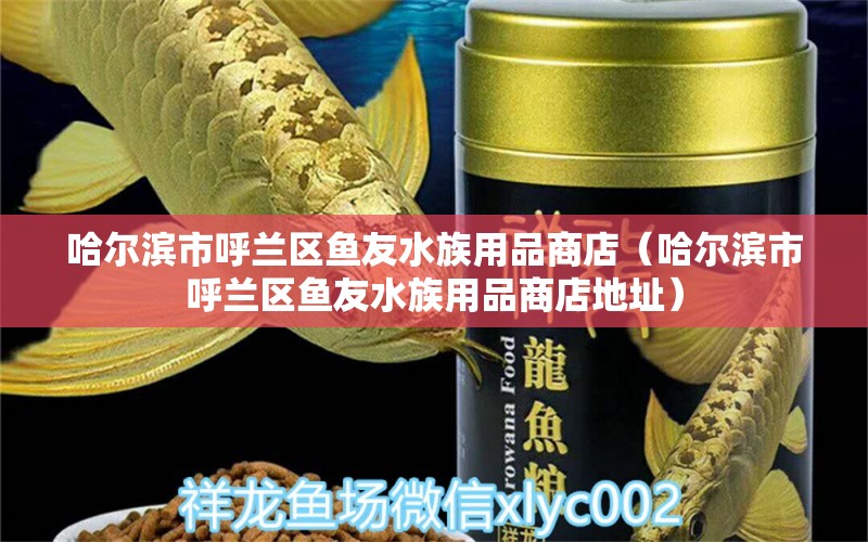 哈爾濱市呼蘭區(qū)魚友水族用品商店（哈爾濱市呼蘭區(qū)魚友水族用品商店地址） 水族用品