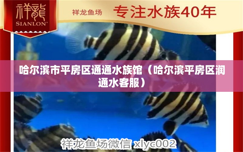 哈爾濱市平房區(qū)通通水族館（哈爾濱平房區(qū)潤通水客服） 全國水族館企業(yè)名錄