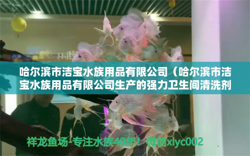 哈爾濱市潔寶水族用品有限公司（哈爾濱市潔寶水族用品有限公司生產(chǎn)的強力衛(wèi)生間清洗劑） 水族用品