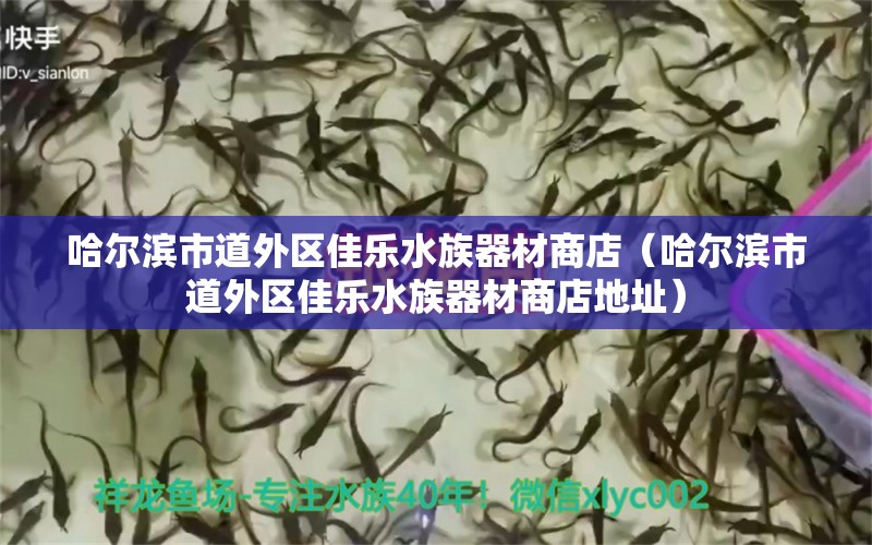 哈爾濱市道外區(qū)佳樂水族器材商店（哈爾濱市道外區(qū)佳樂水族器材商店地址）