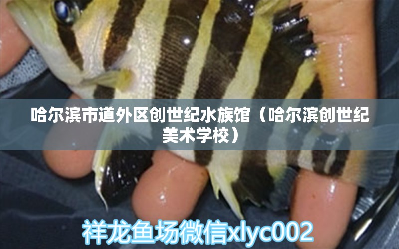 哈爾濱市道外區(qū)創(chuàng)世紀(jì)水族館（哈爾濱創(chuàng)世紀(jì)美術(shù)學(xué)校）