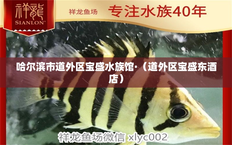 哈爾濱市道外區(qū)寶盛水族館·（道外區(qū)寶盛東酒店） 全國水族館企業(yè)名錄