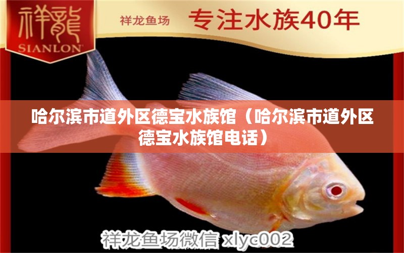 哈爾濱市道外區(qū)德寶水族館（哈爾濱市道外區(qū)德寶水族館電話）