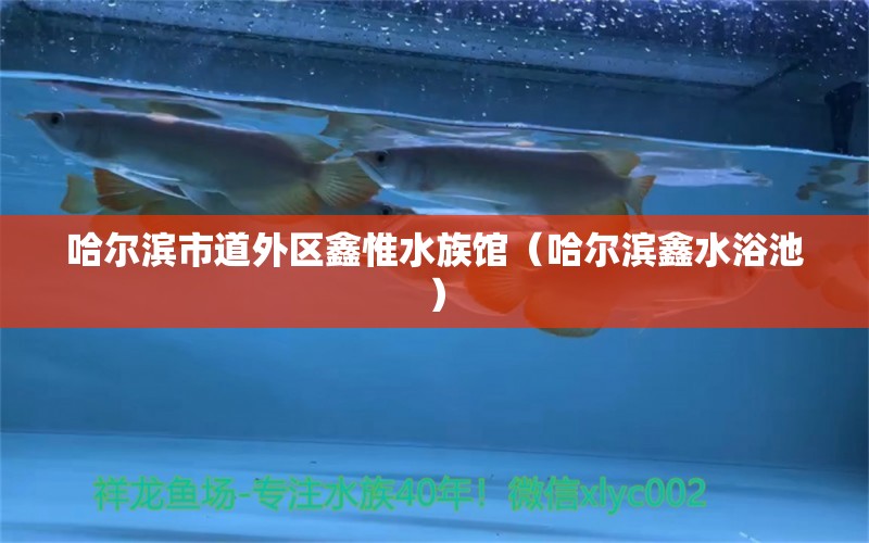 哈爾濱市道外區(qū)鑫惟水族館（哈爾濱鑫水浴池） 全國水族館企業(yè)名錄