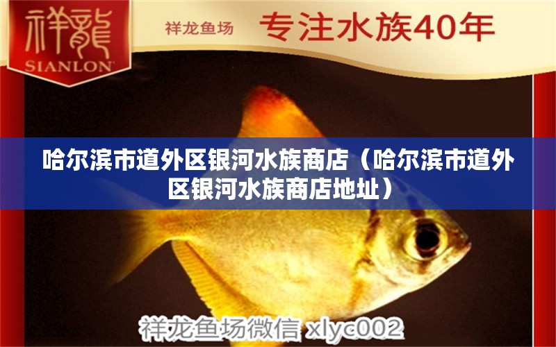 哈爾濱市道外區(qū)銀河水族商店（哈爾濱市道外區(qū)銀河水族商店地址）