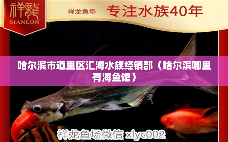 哈爾濱市道里區(qū)匯海水族經(jīng)銷部（哈爾濱哪里有海魚館）