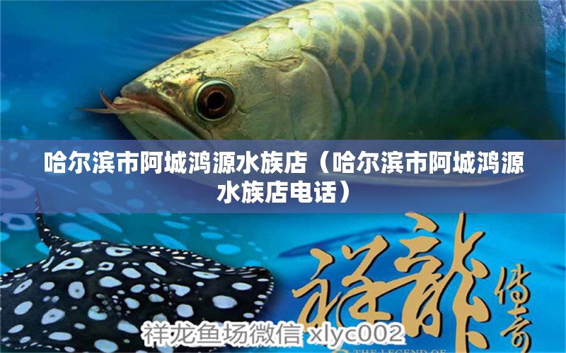 哈爾濱市阿城鴻源水族店（哈爾濱市阿城鴻源水族店電話）