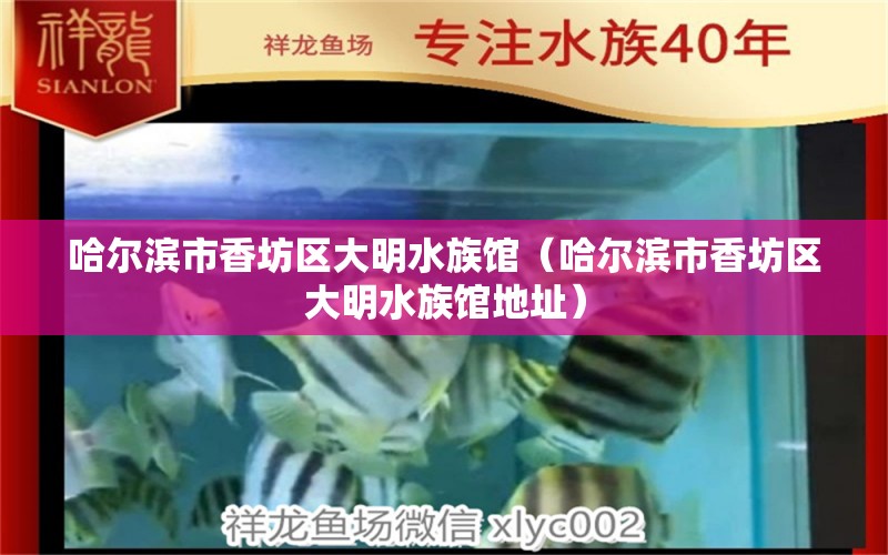 哈爾濱市香坊區(qū)大明水族館（哈爾濱市香坊區(qū)大明水族館地址）