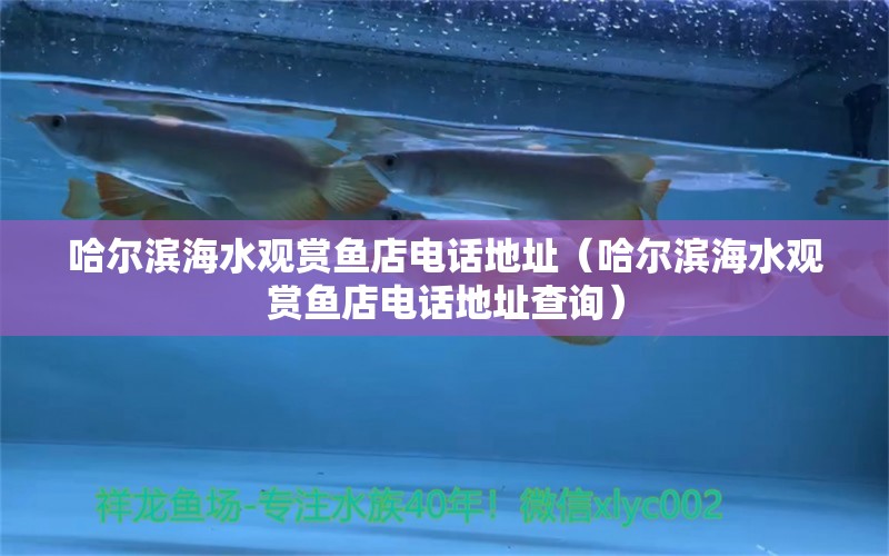 哈爾濱海水觀賞魚店電話地址（哈爾濱海水觀賞魚店電話地址查詢）