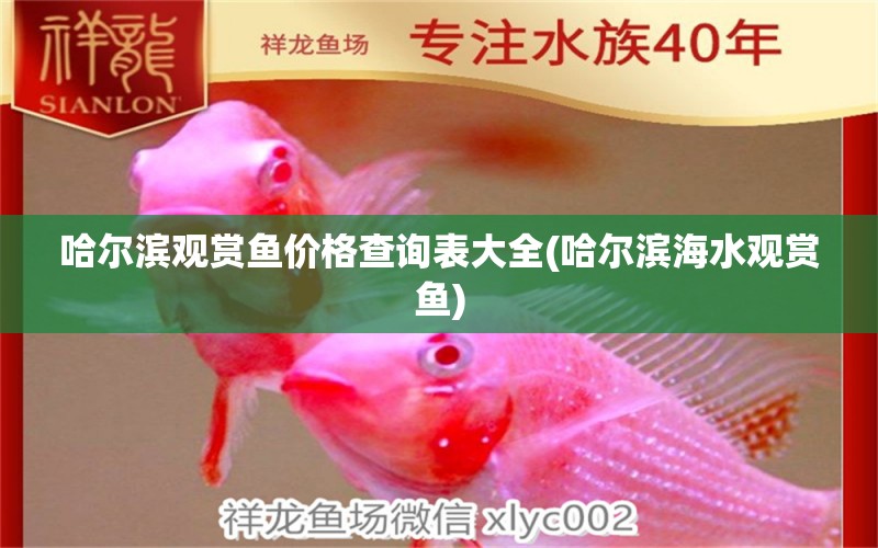 哈爾濱觀賞魚價格查詢表大全(哈爾濱海水觀賞魚) 魚缸等水族設備